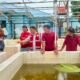 Pertamina Patra Niaga Regional Sumbagsel Bantu Pokdakan Lamperkas Tekan Biaya Produksi Lewat Pakan Ikan Mandiri