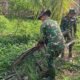Satgas TMMD Lakukan Pembersihan di Lokasi RTLH Suarni