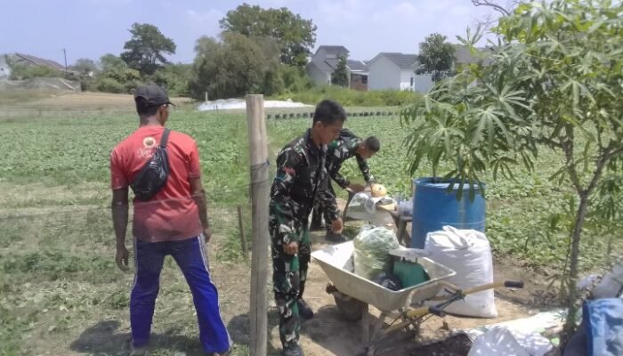 Kerja Keras Satgas TMMD ke 129 Membuahkan Hasil, Warga Senang Panen Sawi