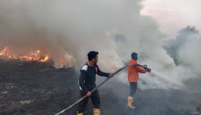 Karhutbunla Terjadi di Dua Lokasi Sekayu Muba, Sekitar 3 Hektare Lahan Terbakar
