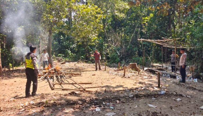 Berkedok Adat, Tetap Kami Ratakan!  Gelanggang Sabung Ayam di Sungai Mali Dibakar Polsek Silat Hilir