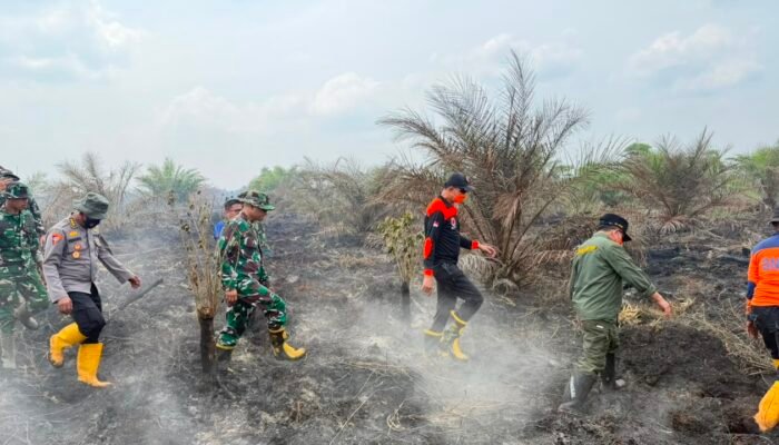 Kapolda Jambi Pastikan Penanganan Karhutla Sungai Gelam Terus Berjalan, Sinergi TNI-Polri dan BPBD Diperkuat