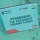 Pertamina Patra Niaga Regional Sumbagsel Tanam 760 Bibit Terumbu Karang, Jaga Ekosistem Pulau Tikus Bengkulu