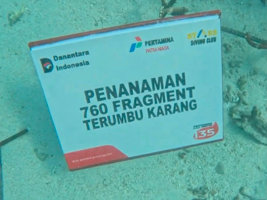 Pertamina Patra Niaga Regional Sumbagsel Tanam 760 Bibit Terumbu Karang, Jaga Ekosistem Pulau Tikus Bengkulu.