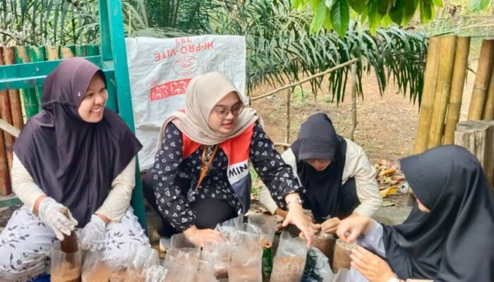 Pertamina Patra Niaga Regional Sumbagsel Sulap Limbah Serbuk Bambu Menjadi Peluang Usaha melalui Budidaya Jamur Tiram