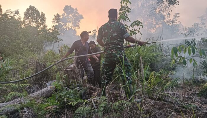 TNI-BPBD Kompak Padamkan Karhutla di Mentebah, Danramil: Jangan Bakar Lahan, Bahaya untuk Kita Semua