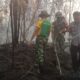 Dikepung Asap! Aksi Heroik TNI-Polri dan Warga Kapuas Hulu Gempur Karhutla Serentak di 5 Titik