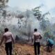 Karhutla Melanda KM 8 Malakuli, Polsek Karas dan Warga Berjibaku Jinakkan Api