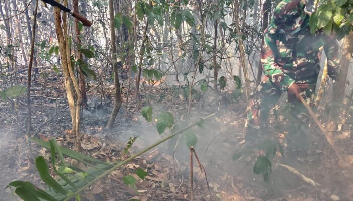 Aksi Cepat Babinsa Karas Padamkan Karhutla di Kampung Malakuli Fakfak