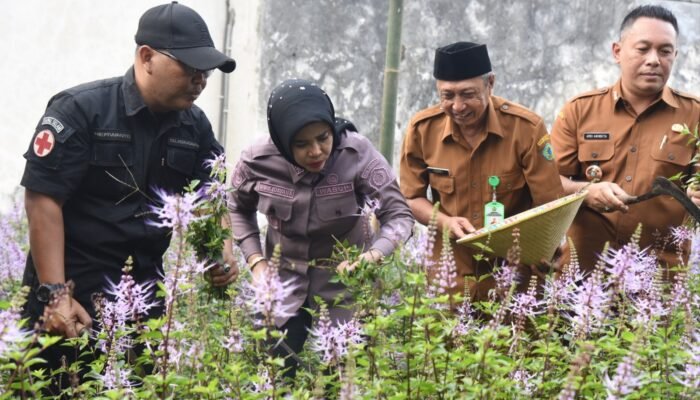 Wabup Mimik Dorong Toga Kumis Kucing Jadi UMKM Unggulan Sidoarjo