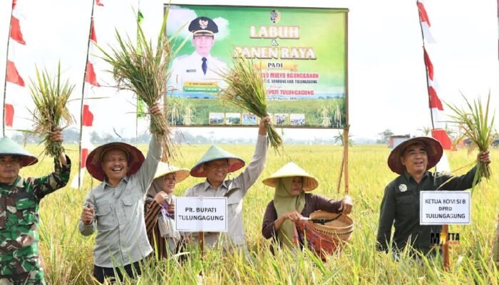 Hadiri Panen Raya Padi di Desa Ngunggahan, Ketua Komisi B DPRD Tulungagung: Kolaborasi Hulu-Hilir Jadi Kunci Pertahankan Swasembada Pangan