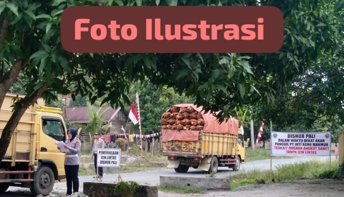 Angkut Sawit Tanpa Izin Lintas, Dishub PALI Dalam Waktu Dekat Akan Panggil PT Inti Agro Makmur