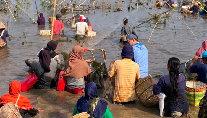 Tradisi Bekarang Ikan di PALI: Bupati Asgianto Turun Langsung ke Danau Sebetung