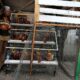 Dari Kandang Samping Rumah, Amat Menumbuhkan Harapan Baru