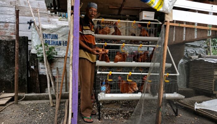 Dari Kandang Samping Rumah, Amat Menumbuhkan Harapan Baru