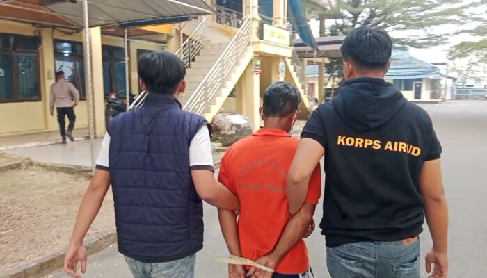 Perambahan Hutan Lindung di Banyuasin, Mandor Jadi Tersangka Pemodal Diburu Polisi