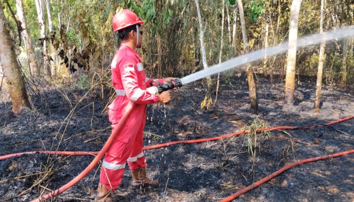 Sinergi Hulu Migas, Pertamina EP Pendopo Field Tegaskan Komitmen Aktif Tangani Karhutla