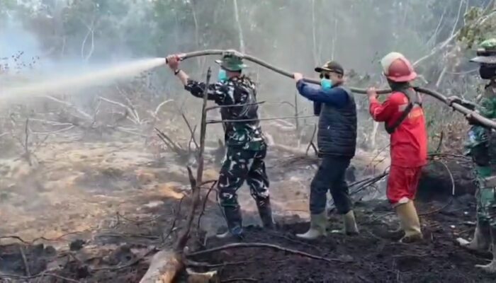 Dandim 0401/Muba Turun Langsung Padamkan Karhutla di Babat Supat, Api Berhasil Dikendalikan