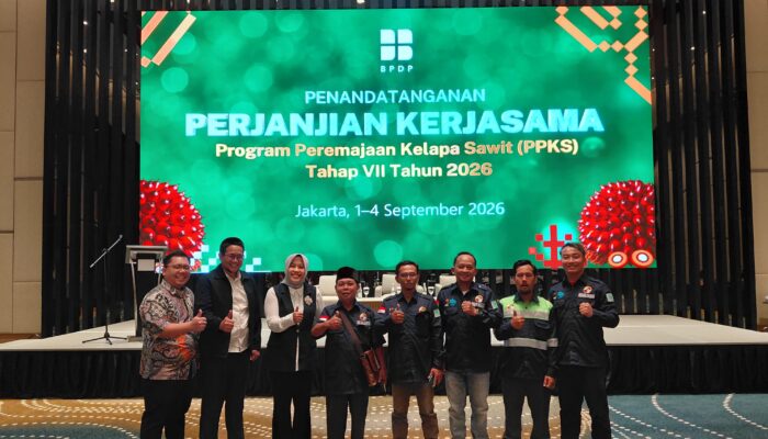 Ini Bentuk Sinergitas Bank Sumsel Babel Dalam Peremajaan Kelapa Sawit