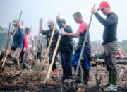 Basah Keringat di Ladang, Bupati Fransiskus Diaan Nugal Padi Bersama Peladang Nanga Awin