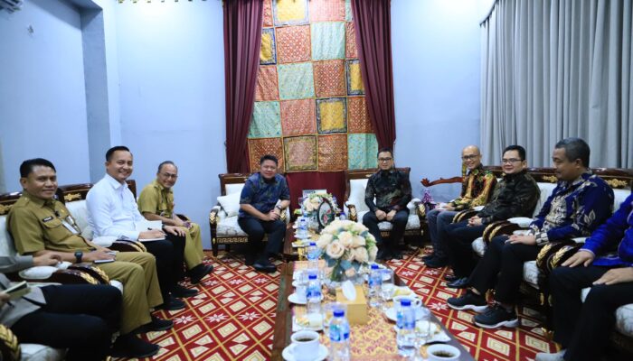 Antisipasi Karhutla, Herman Deru Perkuat Sinergi dengan PLN Jaga Keandalan Listrik Sumsel