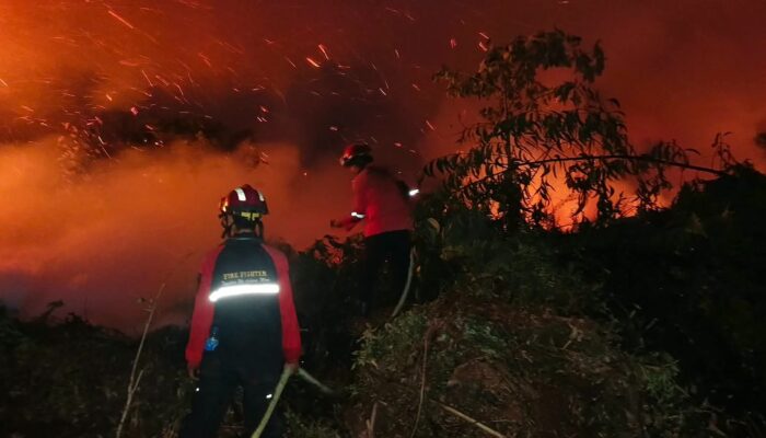 WALHI Jambi Soroti Penetapan 15 Petani Tersangka Karhutla, Desak Korporasi Tak Luput dari Hukum