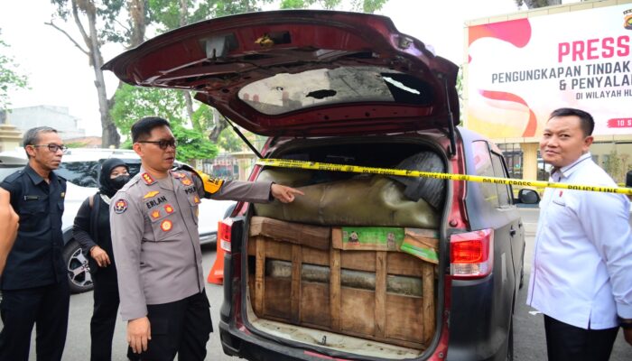 Polda Jambi Amankan 22.800 Liter Minyak dan BBM, 8 Orang Jadi Tersangka