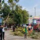 Cegah Pohon Roboh, DLH Bersama Instansi Terkait Bersihkan Pohon Mati di Terminal Muaradua