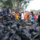 Ratusan Orang Turun ke Sungai Musi, Ratu Dewa Ajak Warga Ubah Kebiasaan Buang Sampah