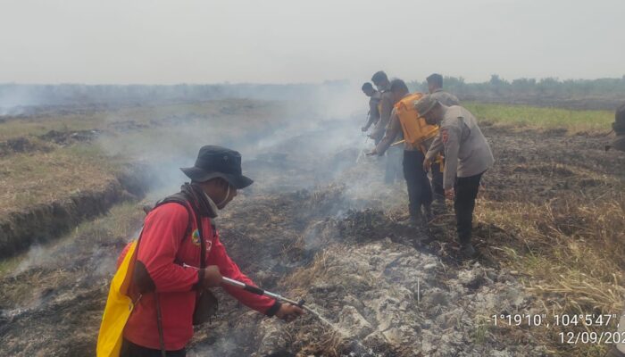 Polda Jambi Tangani Karhutla di Sungai Aur, Lahan Terbakar Diperkirakan 20 Hektare