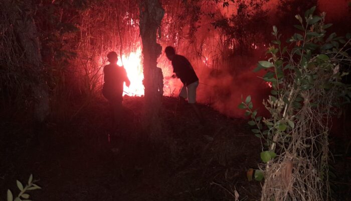 Babinsa Bukit Baru Gerak Cepat Padamkan Kebakaran Lahan 0,5 Hektare di Tanjung Aur
