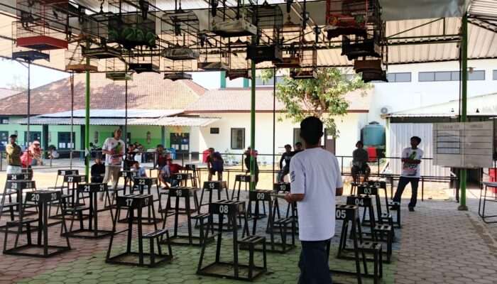 Kicau Mania Lintas Daerah Adu Gengsi di Mahesa Bird Contest