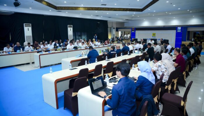 PLN, Kementerian ESDM dan Pemerintah Daerah Sinkronkan Program Lisdes
