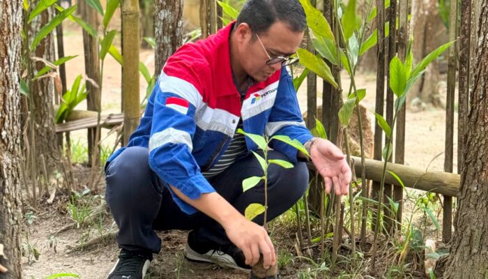 Tanam Tuai, Pertamina Patra Niaga Regional Sumbagsel dan Komunitas Hijaukan Lembah Suhita