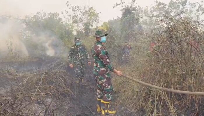 Karhutla Melanda Muara Medak, Dandim 0401/Muba Turun Langsung Pimpin Pemadaman