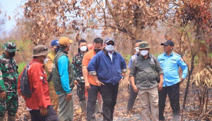 Naik Speed Boat Susuri Habitat Gajah, Herman Deru Pastikan Satwa Aman dari Karhutla