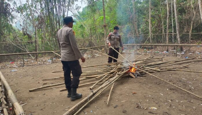 Dibakar, Dibangun Lagi, Dibakar Lagi: Lingkaran Judi Sabung Ayam di Dusun Keranji Silat Hilir