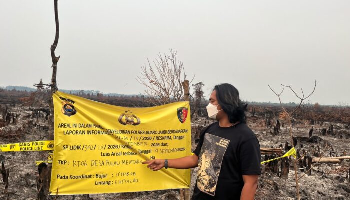 WALHI Jambi Soroti Pembentukan BPGMN, 5.401 Hektare Lahan Disebut Terbakar di Wilayah Intervensi BRGM