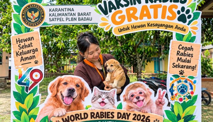 35 Hewan Divaksin Gratis di Badau, Karantina Kalbar Perkuat Benteng Pencegahan Rabies di Perbatasan