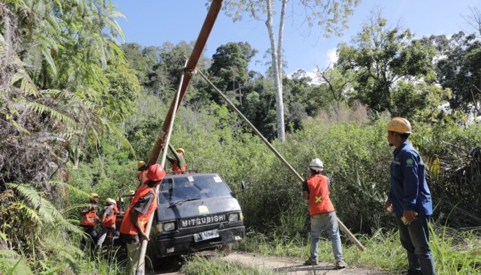 Menyala di Lembah Mandailing, Listrik 24 Jam PLN Buka Jalan Cita-Cita Anak Desa Patialo