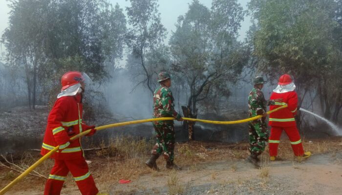 Tanggapi Kebakaran Lahan Seluas 5 Ha, Ini Yang Dilakukan Babinsa Kodim 0418/Palembang