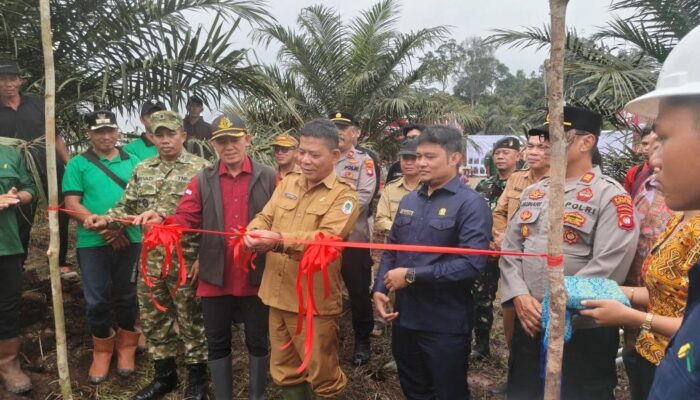 Panen Perdana Plasma 205 Ha, Hendra Siswanto: Ini Bukti Komitmen PT BIA Menjadi Berkat Bagi Petani Kapuas Hulu