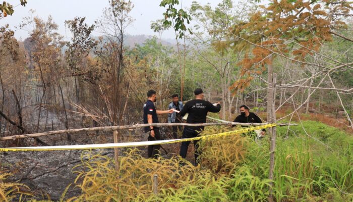 358 Hektar Lahan di HGU PT BOS Tani Makmur dan Sekubah Terbakar, Polisi Periksa 9 Saksi