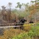 358 Hektar Lahan di HGU PT BOS Tani Makmur dan Sekubah Terbakar, Polisi Periksa 9 Saksi
