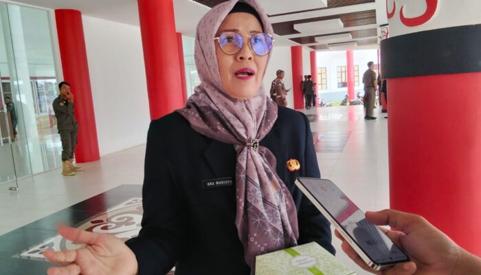 Penanganan ODGJ di Kapuas Hulu Terkendala Anggaran, Dinsos Dorong Kolaborasi Lintas Sektor