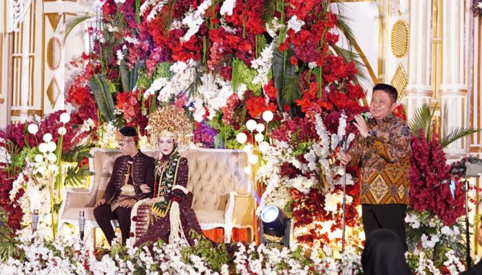 Resepsi Pernikahan Anggota DPRD Sumsel dan DPRD Jambi Digelar Meriah di Muaradua