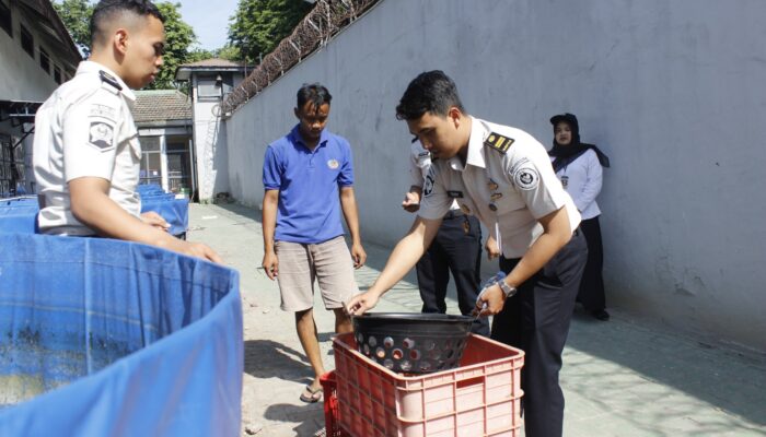 Panen 35 Kg Lele, Lapas Sidoarjo Perkuat Ketahanan Pangan dan Pembinaan Warga Binaan