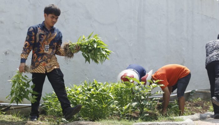 Lapas Sidoarjo Panen Kangkung, Bekali Warga Binaan Keterampilan Mandiri 