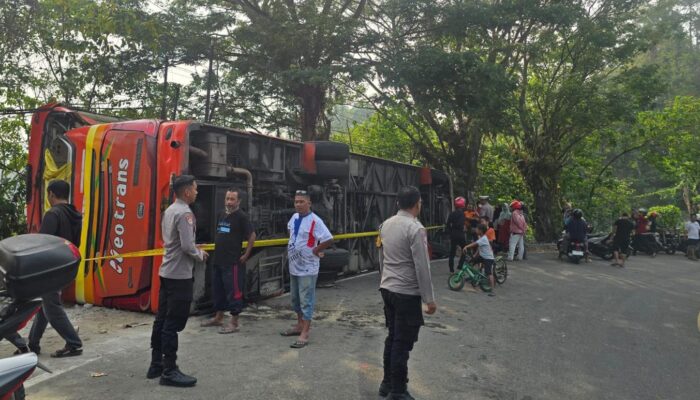 Pecah Ban Belakang Picu Bus Neo Trans Terbalik di Salupangi, 21 Korban Luka