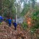 20 Hektare Lahan di Anreapi Polman Terbakar, Api Padam Setelah 7 Jam